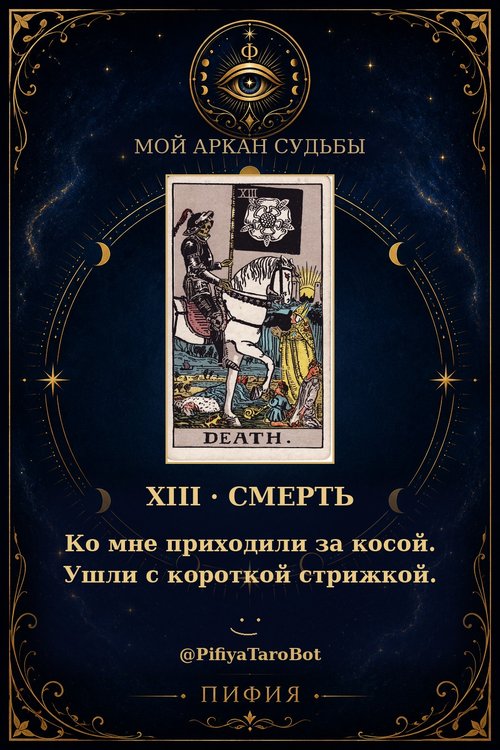 Аркан 13