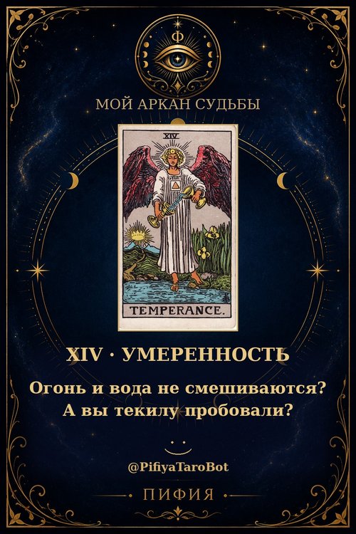 Аркан 14