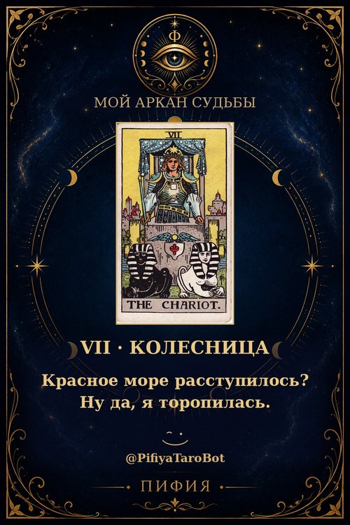 Аркан 7